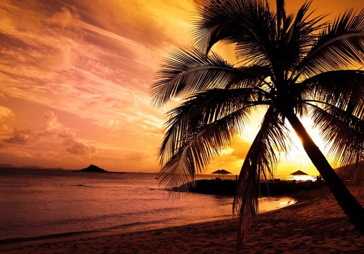 Dubai Sunset Desert…